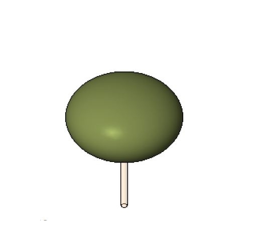 LDS-TRE-CNO-Tree-01