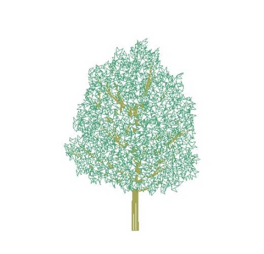 LDS-TRE-CNO-Tree-02